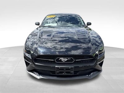 2019 Ford Mustang EcoBoost