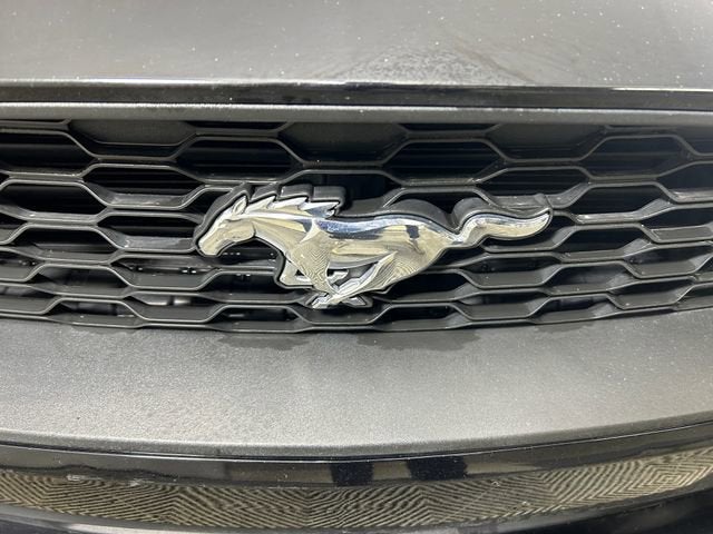 2021 Ford Mustang EcoBoost