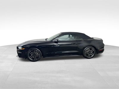 2021 Ford Mustang EcoBoost