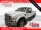 2009 Ford Super Duty F-250 SRW XL