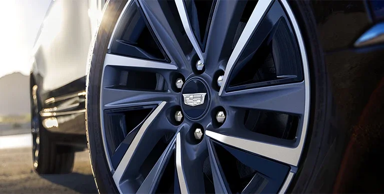 choosing-the-right-Vistiq